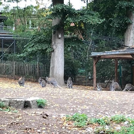 Ferienhaus Am Park Am Roehrensee 바이로이트 외부 사진