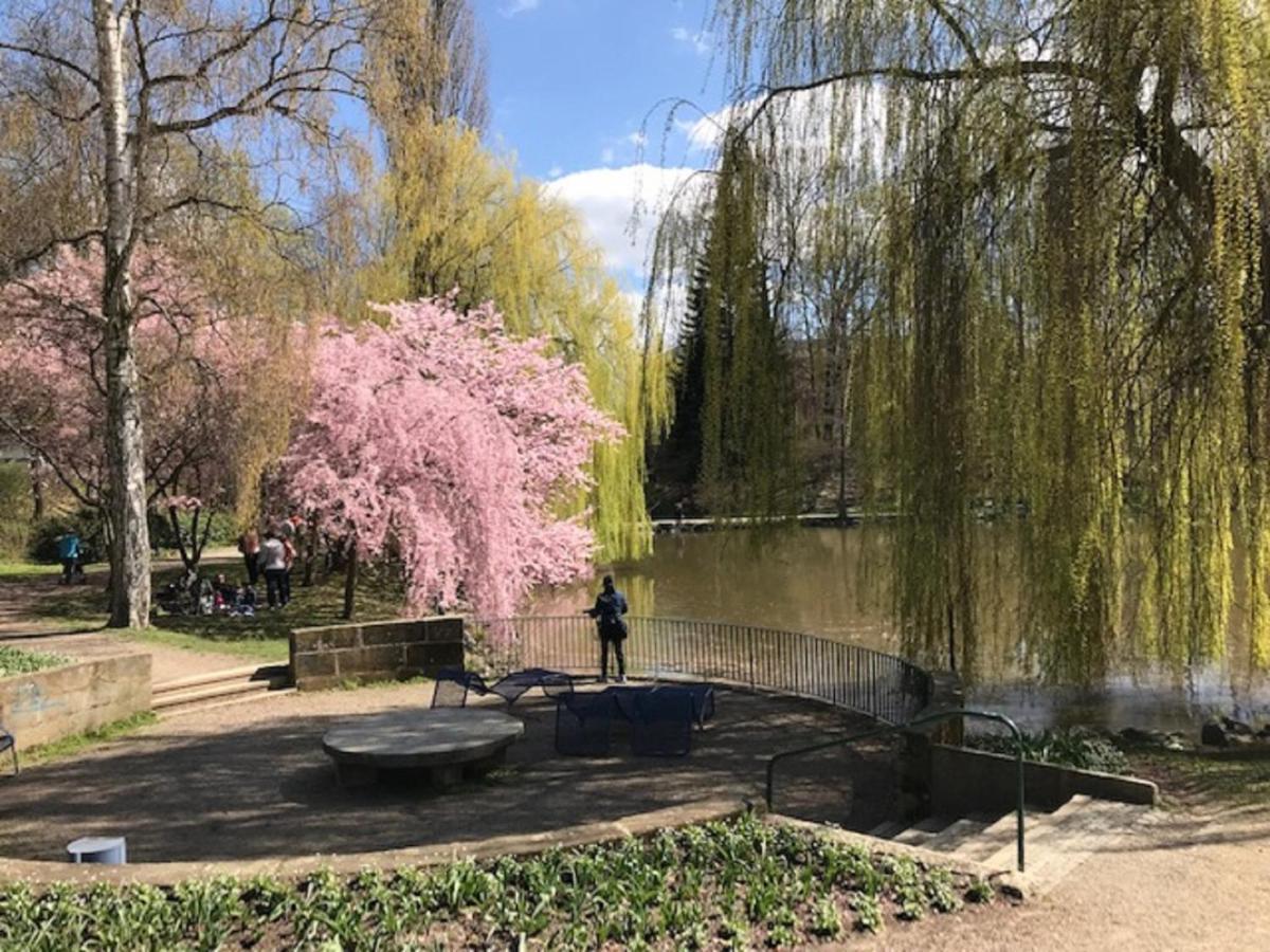 Ferienhaus Am Park Am Roehrensee 바이로이트 외부 사진