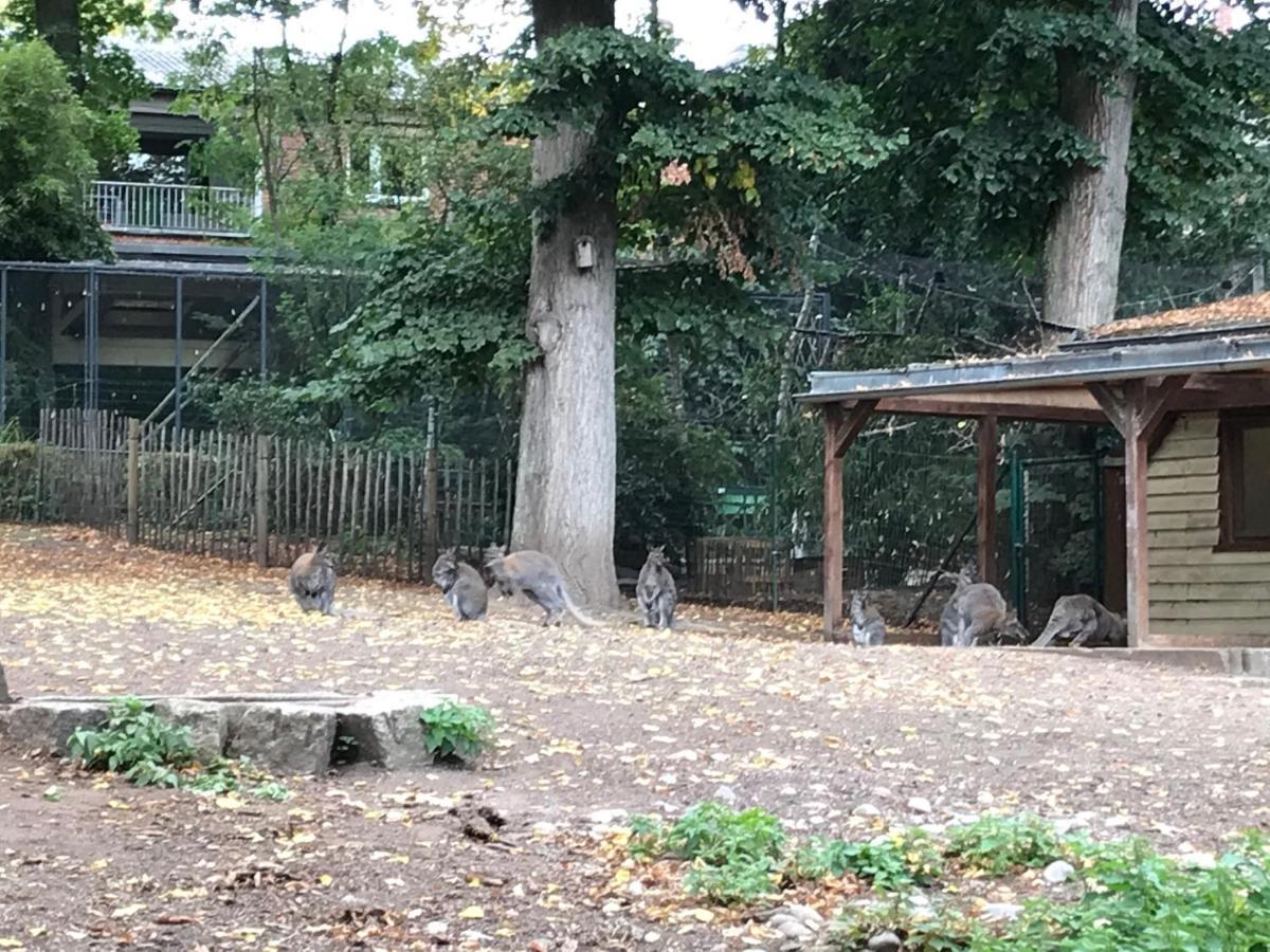Ferienhaus Am Park Am Roehrensee 바이로이트 외부 사진